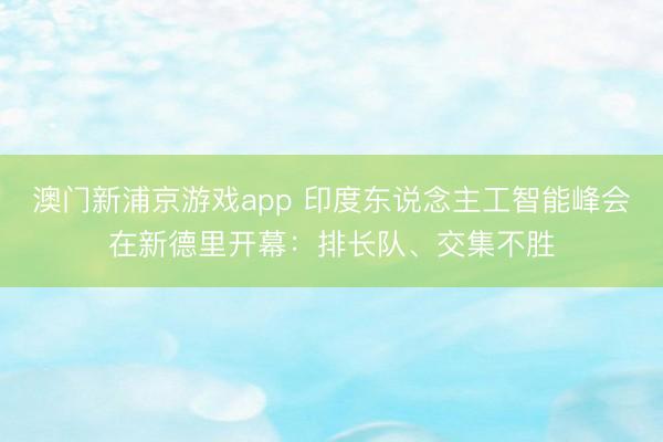 澳门新浦京游戏app 印度东说念主工智能峰会在新德里开幕：排长队、交集不胜