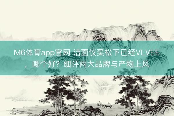 M6体育app官网 洁面仪买松下已经VLVEE，哪个好？细评两大品牌与产物上风