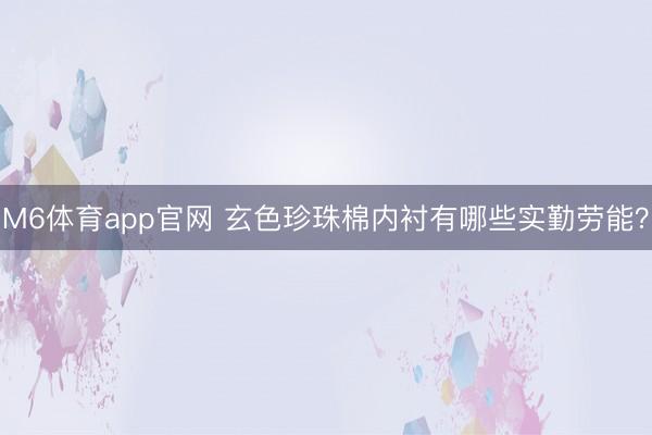 M6体育app官网 玄色珍珠棉内衬有哪些实勤劳能？