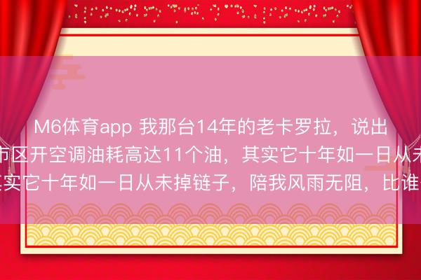 M6体育app 我那台14年的老卡罗拉，说出来齐怕把东谈主吓着，市区开空调油耗高达11个油，其实它十年如一日从未掉链子，陪我风雨无阻，比谁齐靠谱