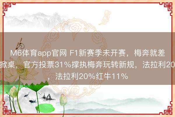 M6体育app官网 F1新赛季未开赛,梅奔就差点激愤敌手掀桌,官方投票31%撑执梅奔玩转新规,法拉利20%红牛11%